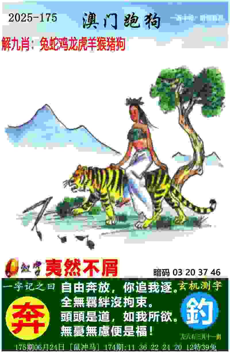 亳州举办首届象棋锦标赛  300多名选手“楚河争霸”