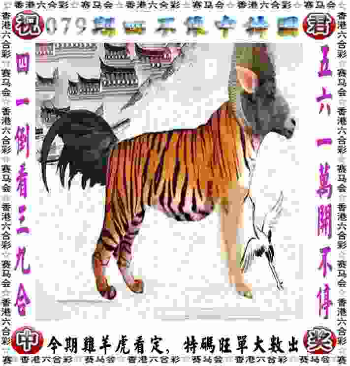 >新门内部资料最新更新